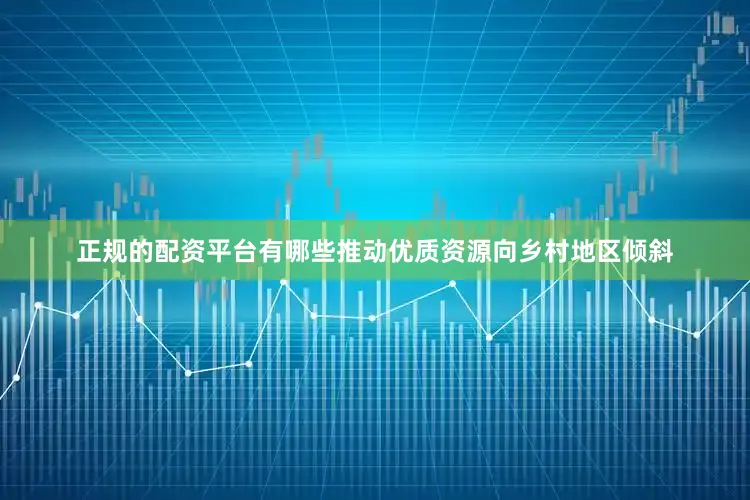正规的配资平台有哪些推动优质资源向乡村地区倾斜