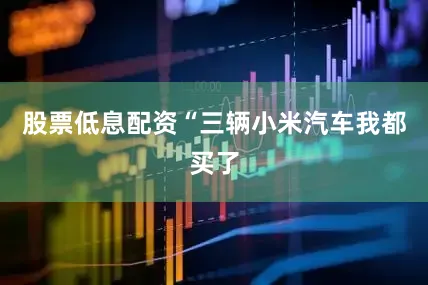 股票低息配资“三辆小米汽车我都买了