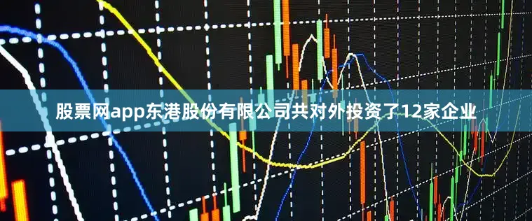 股票网app东港股份有限公司共对外投资了12家企业